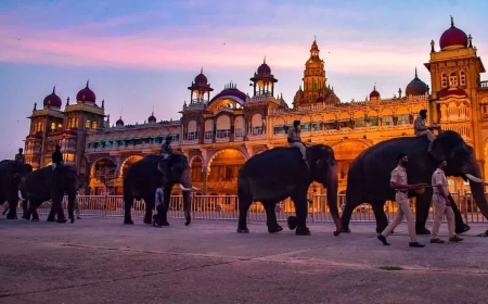 260KG ತೂಕ ಹೆಚ್ಚಿಸಿಕೊಂಡ ಅಭಿಮನ್ಯು
