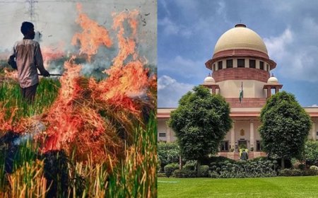 ವಾಯು ಮಾಲಿನ್ಯ ನಿಯಂತ್ರಣಕ್ಕೆ ಕ್ರಮಕೈಗೊಳ್ಳದ ಹರಿಯಾಣ, ಪಂಜಾಬ್ ಸರ್ಕಾರಕ್ಕೆ ಸುಪ್ರೀಂ ಛೀಮಾರಿ