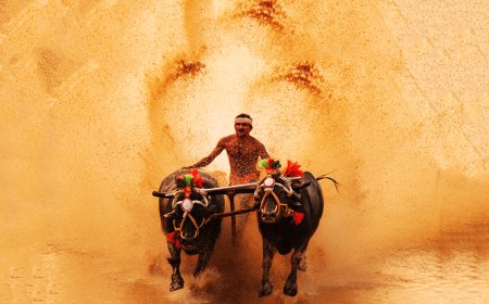 10 ವರ್ಷಗಳ ಬಳಿಕ ಸರ್ಕಾರ ನಡೆಸಲು ನಿರ್ಧರಿಸಿರುವ ಪಿಲಿಕುಳ ಕಂಬಳಕ್ಕೆ ಜೋರಾದ ಪೆಟಾದ ತಗಾದೆ; ಋತುವಿನ ಮೊದಲ ಕಂಬಳಕ್ಕೆ ಈಗ ಕಾನೂನಿನ ತೂಗುಗತ್ತಿ !