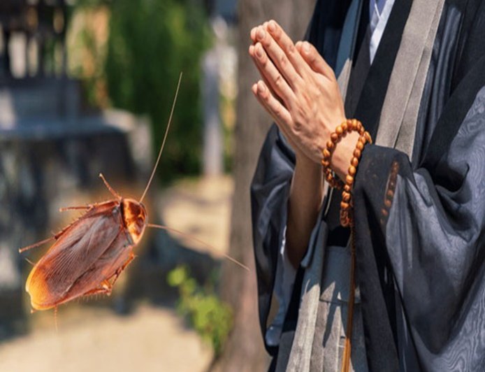 ಸತ್ತ ಕೀಟಗಳಿಗೆ ಶ್ರದ್ಧಾಂಜಲಿ ಸಲ್ಲಿಸುವ ಜಪಾನ್‌ನ ಕಂಪನಿ!