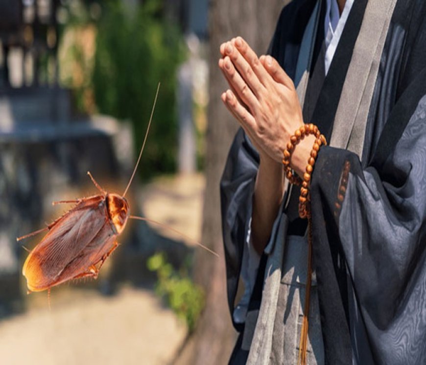 ಸತ್ತ ಕೀಟಗಳಿಗೆ ಶ್ರದ್ಧಾಂಜಲಿ ಸಲ್ಲಿಸುವ ಜಪಾನ್‌ನ ಕಂಪನಿ!