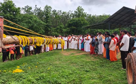 ಬಡಗನ್ನೂರು: ಪಡುಮಲೆ ದೈವಸ್ಥಾನಕ್ಕೆ ನೂತನ ಕೊಡಿಮರ ಮುಹೂರ್ತ