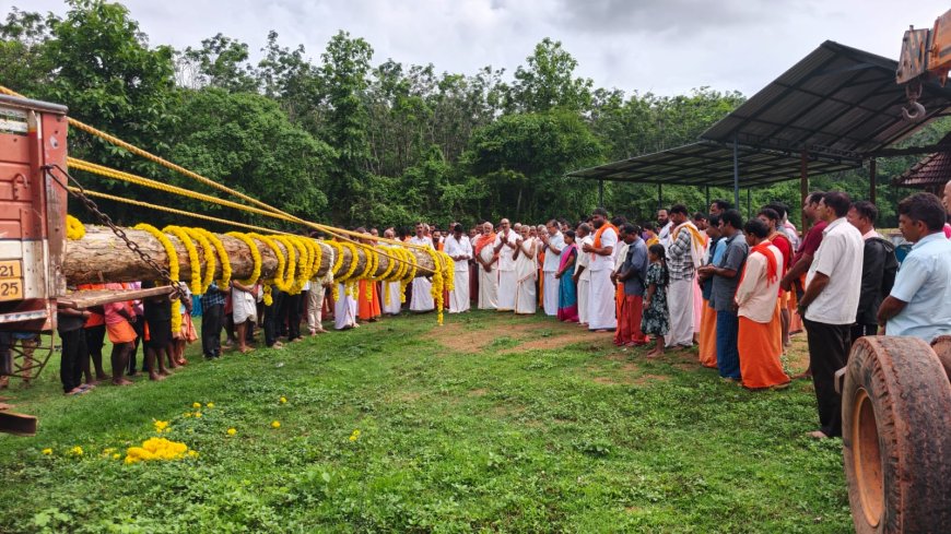 ಬಡಗನ್ನೂರು: ಪಡುಮಲೆ ದೈವಸ್ಥಾನಕ್ಕೆ ನೂತನ ಕೊಡಿಮರ ಮುಹೂರ್ತ