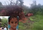 ಬಂಟ್ವಾಳ: ಶಾಲಾ ಬಸ್‌ ಮೇಲೆ ಮರ ಬಿದ್ದು 6 ವರ್ಷದ ಬಾಲಕಿ ದಾರುಣ ಸಾವು  