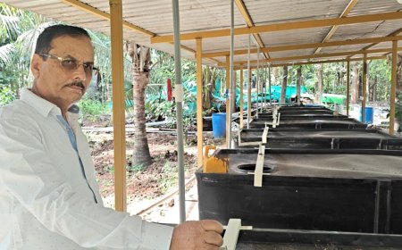 ವಿಶೇಷ ಲೇಖನ: ಬಂಗಾರದ ಮನುಷ್ಯನ ನಿಜರೂಪ ಡಾ.ಎಂ.ಸಿ.ರಂಗಸ್ವಾಮಿ!