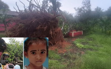 ಬಂಟ್ವಾಳ: ಶಾಲಾ ಬಸ್‌ ಮೇಲೆ ಮರ ಬಿದ್ದು 6 ವರ್ಷದ ಬಾಲಕಿ ದಾರುಣ ಸಾವು  