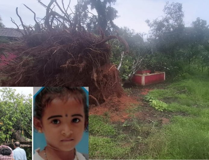 ಬಂಟ್ವಾಳ: ಶಾಲಾ ಬಸ್‌ ಮೇಲೆ ಮರ ಬಿದ್ದು 6 ವರ್ಷದ ಬಾಲಕಿ ದಾರುಣ ಸಾವು  