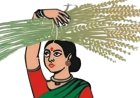 ಕೋಲಾರ & ಚಿಕ್ಕಬಳ್ಳಾಪುರ ಜಿಲ್ಲೆಗಳಿಗೆ ಸಂಪುಟದಲ್ಲಿ ಪ್ರಾತಿನಿಧ್ಯವಿಲ್ಲ: JDS ಟೀಕೆ