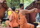 ಹನುಮಗಿರಿ: ಶೇಷನಾಗನಿಗೆ ವಿಜೃಂಭಣೆಯ ನಾಗತಂಬಿಲ - ಕ್ಷೀರಾಭಿಷೇಕ ಸೇವೆ
