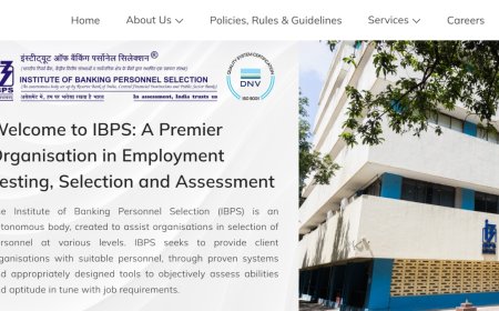 IBPS: 11,403 ಹುದ್ದೆಗೆ ಅರ್ಜಿ.. ಡಿಗ್ರಿ ಆಗಿದ್ರೆ ಸಾಕು!