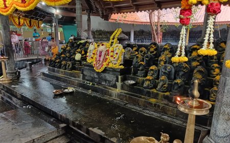 ಪಶುಪತಿನಾಥ ದೇಗುಲದಲ್ಲಿ ವಾಸುಕಿ ನಾಗನಿಗೂ ವಿಶೇಷ ಸ್ಥಾನ