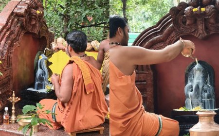 ಹನುಮಗಿರಿ: ಶೇಷನಾಗನಿಗೆ ವಿಜೃಂಭಣೆಯ ನಾಗತಂಬಿಲ - ಕ್ಷೀರಾಭಿಷೇಕ ಸೇವೆ