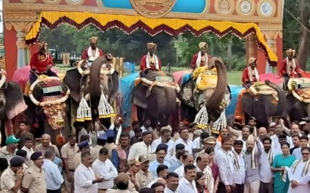 ಗಜಪಯಣ: ಕಾಡಿನಿಂದ ಅರಮನೆಗೆ ರಾಜಗಾಂಭೀರ್ಯದ ಹೆಜ್ಜೆ