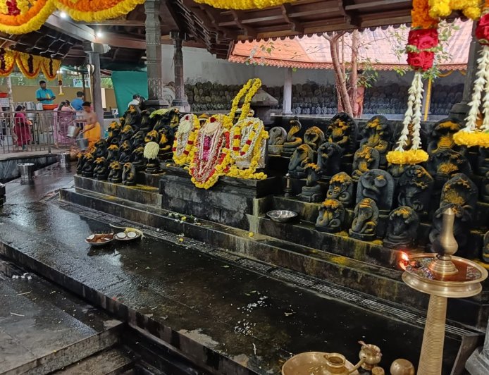 ಪಶುಪತಿನಾಥ ದೇಗುಲದಲ್ಲಿ ವಾಸುಕಿ ನಾಗನಿಗೂ ವಿಶೇಷ ಸ್ಥಾನ