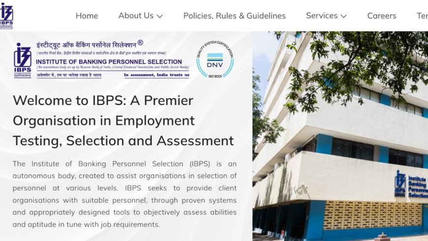 IBPS: 11,403 ಹುದ್ದೆಗೆ ಅರ್ಜಿ.. ಡಿಗ್ರಿ ಆಗಿದ್ರೆ ಸಾಕು!
