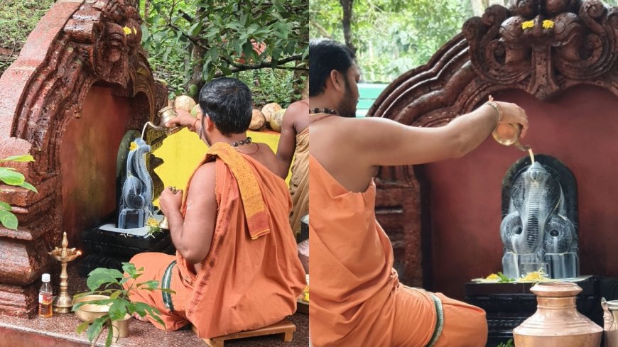 ಹನುಮಗಿರಿ: ಶೇಷನಾಗನಿಗೆ ವಿಜೃಂಭಣೆಯ ನಾಗತಂಬಿಲ - ಕ್ಷೀರಾಭಿಷೇಕ ಸೇವೆ