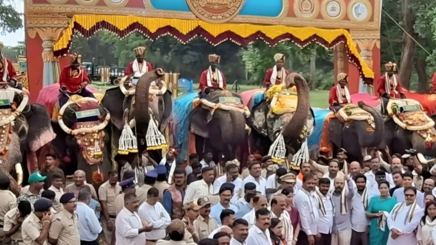 ಗಜಪಯಣ: ಕಾಡಿನಿಂದ ಅರಮನೆಗೆ ರಾಜಗಾಂಭೀರ್ಯದ ಹೆಜ್ಜೆ