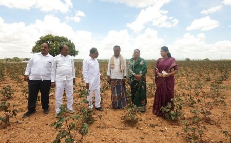 ಗುಂಡ್ಲುಪೇಟೆ ತಾಲೂಕಿನಲ್ಲಿ ಡಿಸಿಎಂ ಡಾ.ಜಿ.ಪರಮೇಶ್ವರ ಬರ ವೀಕ್ಷಣೆ