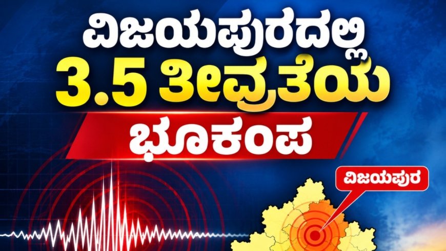 Earthquake: ವಿಜಯಪುರದಲ್ಲಿ 3.5 ತೀವ್ರತೆ ಭೂಕಂಪ