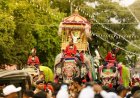 ವಿಶ್ವವಿಖ್ಯಾತ ಜಂಬೂಸವಾರಿಗೆ ಕ್ಷಣಗಣನೆ: ಮಕರ ಲಗ್ನದಲ್ಲಿ ನಂದಿ ಧ್ವಜ ಪೂಜೆ..  ಮೀನ ಲಗ್ನದಲ್ಲಿ ಮೆರವಣಿಗೆಗೆ ಚಾಲನೆ