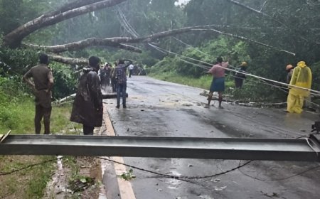 Puttur News: ಭಾರೀ ಮಳೆ.. ರಸ್ತೆಗೆ ಬಿದ್ದ ಮರ - ವಿದ್ಯುತ್ ಕಂಬ, ಸಂಚಾರ ಸ್ಥಗಿತ