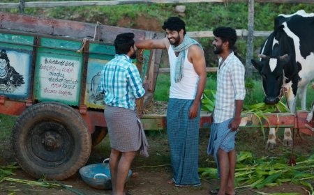 Premada Oorali: 'ಪ್ರೇಮದ ಊರಲಿ' ರೂ.100 ಕೋಟಿಯತ್ತ!