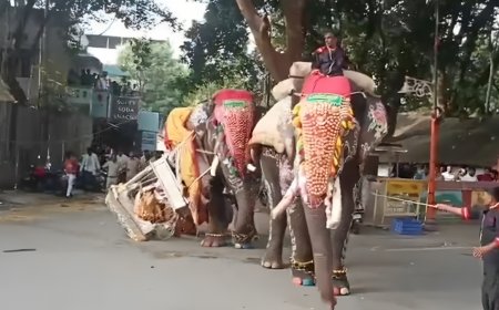 ಶಿವಮೊಗ್ಗ ದಸರಾ: ದಿಕ್ಕಾಪಾಲಾಗಿ ಓಡಿದ ಅಂಬಾರಿ ಹೊತ್ತ ಸೋಮಣ್ಣ ಆನೆ!
