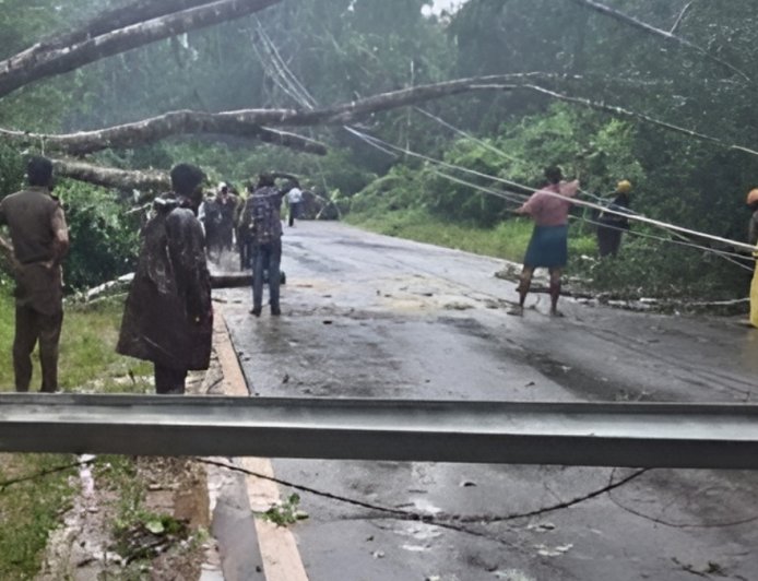 Puttur News: ಭಾರೀ ಮಳೆ.. ರಸ್ತೆಗೆ ಬಿದ್ದ ಮರ - ವಿದ್ಯುತ್ ಕಂಬ, ಸಂಚಾರ ಸ್ಥಗಿತ