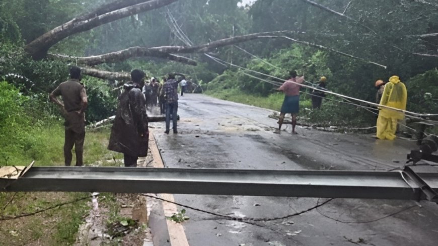 Puttur News: ಭಾರೀ ಮಳೆ.. ರಸ್ತೆಗೆ ಬಿದ್ದ ಮರ - ವಿದ್ಯುತ್ ಕಂಬ, ಸಂಚಾರ ಸ್ಥಗಿತ